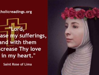 Saint Rose of Lima - Feast Day - August 23