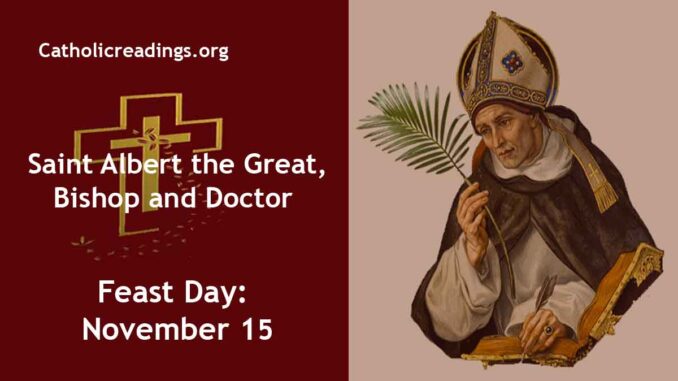 St Albert the Great, Bishop and Doctor - Feast Day - November 15