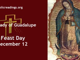 Our Lady of Guadalupe - Feast Day - December 12