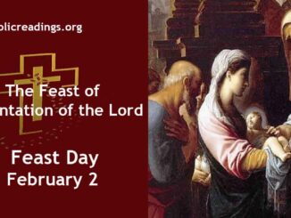 The Feast of Presentation of the Lord - February 2