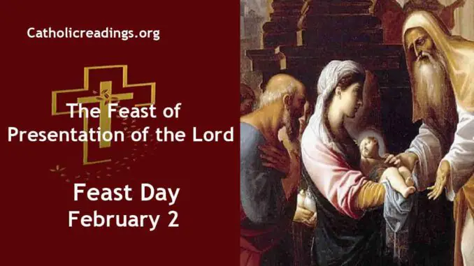 The Feast of Presentation of the Lord - February 2