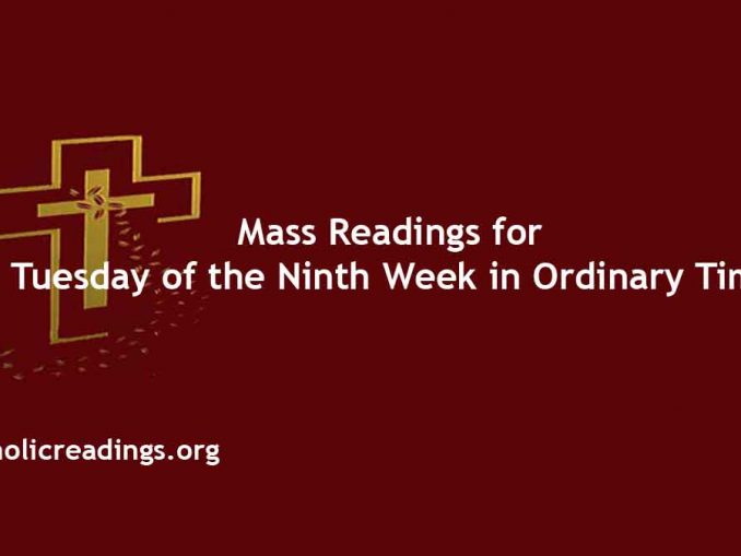 Catholic Daily Readings 2024, Sunday Mass Gospel Year B, Homily