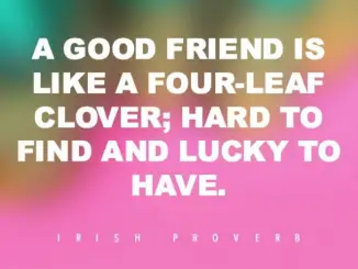 friendship-quote