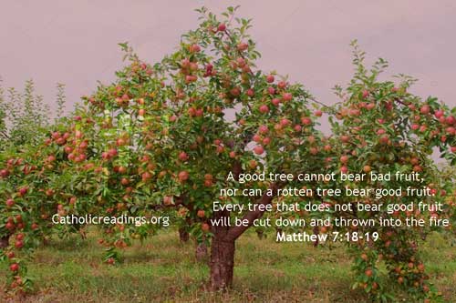 A Good Tree Cannot Bear Bad Fruit - Matthew 7:18-19 - Bible Verse of ...