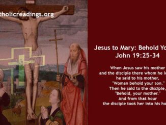 Bible Verse of the Day for May 29 2023 - Jesus to Mary: Behold your Son - John 19:25-34