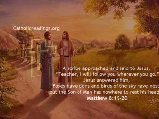 The Son of Man Has Nowhere to Rest his Head - Bible Verse of the Day