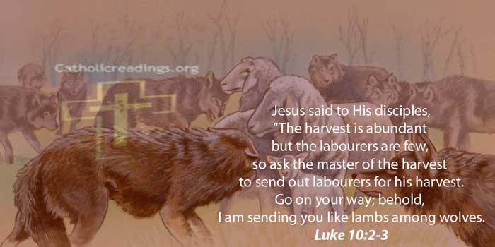 I Am Sending You Like Lambs Among Wolves - Luke 10:1-3- Bible Verse of the Day