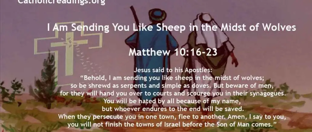 I Am Sending You Like Sheep in the Midst of Wolves - Matthew 10:16-23 - Bible Verse of the Day