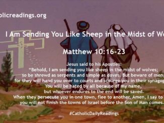 I Am Sending You Like Sheep in the Midst of Wolves - Matthew 10:16-23 - Bible Verse of the Day