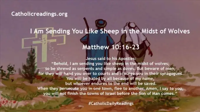 I Am Sending You Like Sheep in the Midst of Wolves - Matthew 10:16-23 - Bible Verse of the Day