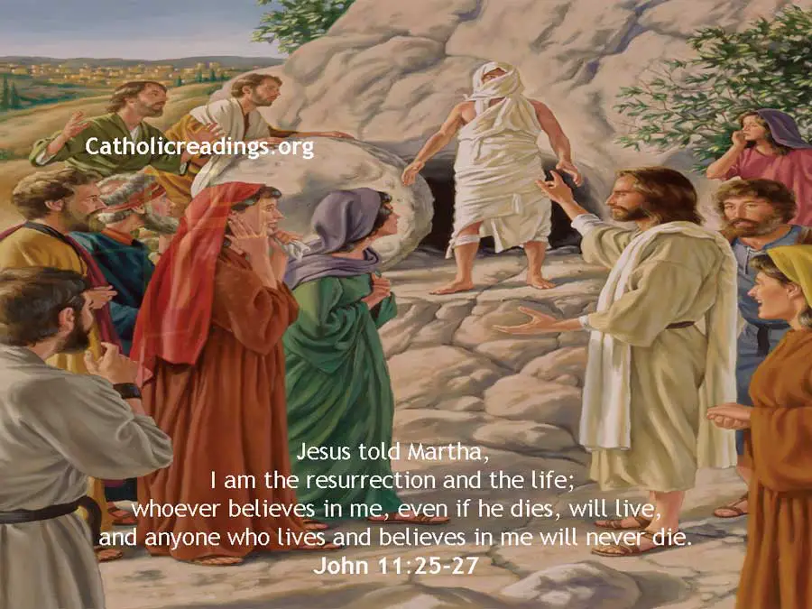 I am the resurrection and the life; whoever believes in me, even if he dies, will live - Bible Verse of the Day - John 11:25-27