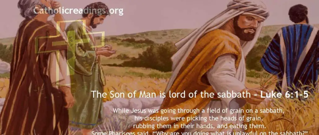 The Son of Man is Lord of the Sabbath - Luke 6:1-5, Matthew 12:1-8, Mark 2:23-28 - Bible Verse of the Day