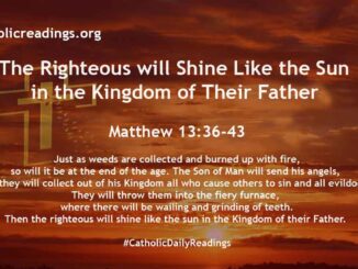 Bible Verse of the Day - Parable of the Weeds in the Field: The Righteous will Shine Like the Sun in the Kingdom of Their Father - Matthew 13:36-43