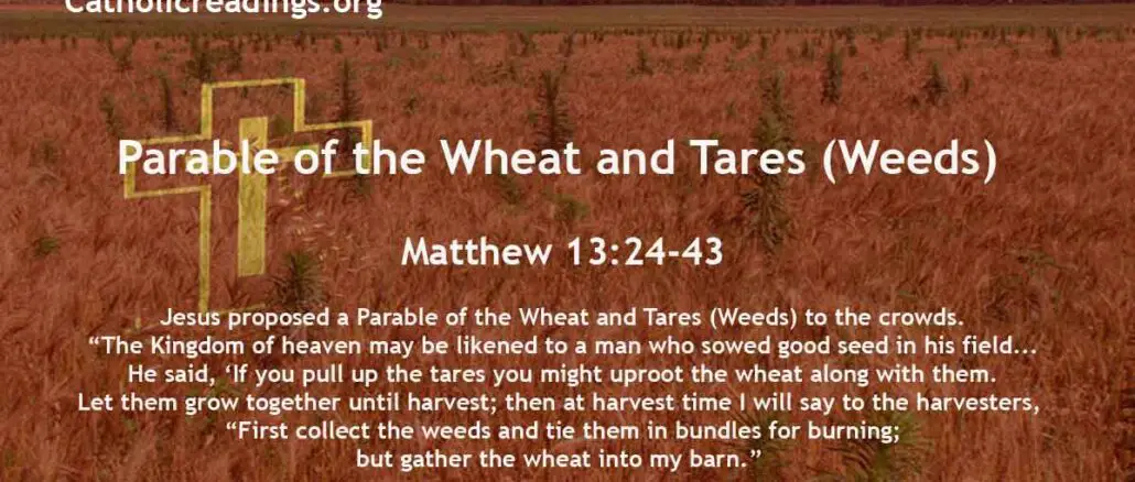 Parable of the Wheat and Tares (Weeds) - Matthew 13:24-43