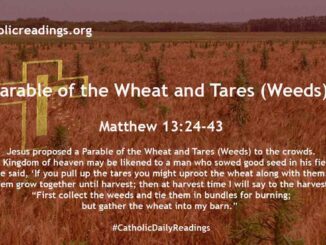 Parable of the Wheat and Tares (Weeds) - Matthew 13:24-43