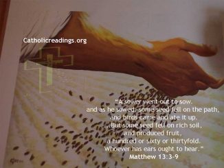 Seed Fell on Rich Soil and Produced Fruit - Bible Verse of the Day