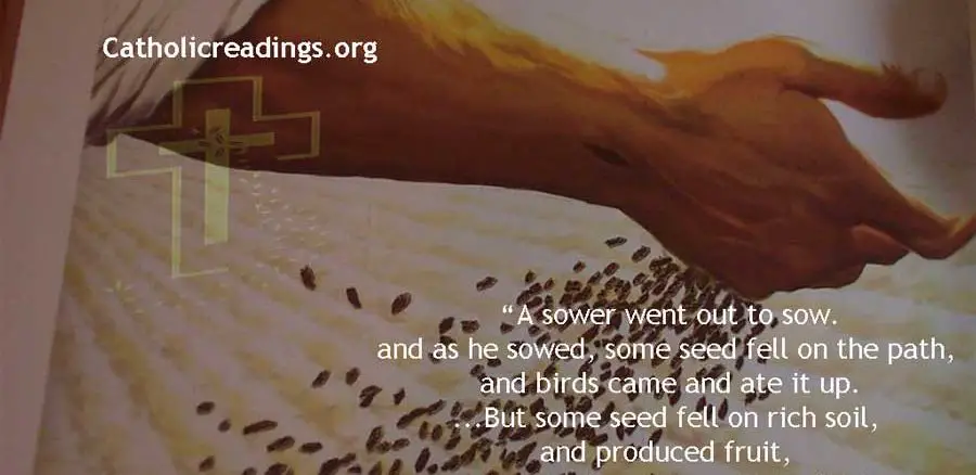 Seed Fell on Rich Soil and Produced Fruit - Bible Verse of the Day