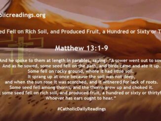 The Parable of the Sower - Some Seed Fell on Rich Soil, and Produced Fruit, a Hundred or Sixty or Thirtyfold - Matthew 13:1-9