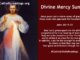Bible Verse of the Day for April 16 2023 - Divine Mercy Sunday - Blessed Are Those Who Have Not Seen and Have Believed - John 20:19-31