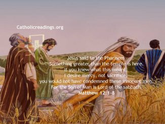 The Son of Man is Lord of the Sabbath - Bible Verse of the Day