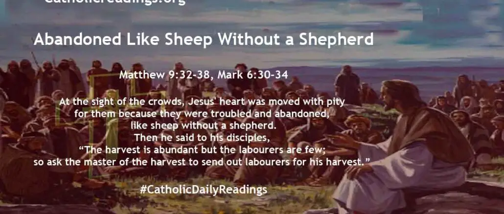Bible Verse of the Day - Abandoned Like Sheep Without a Shepherd - Matthew 9:32-38, Mark 6:30-34