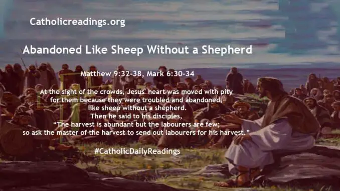 Bible Verse of the Day - Abandoned Like Sheep Without a Shepherd - Matthew 9:32-38, Mark 6:30-34
