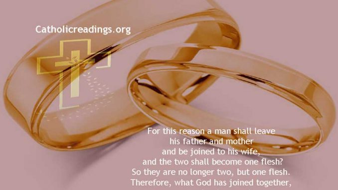 What God Has Joined Together, Man Must Not Separate - Matthew 19:3-12, Mark 10:1-12 - Bible Verse of the Day
