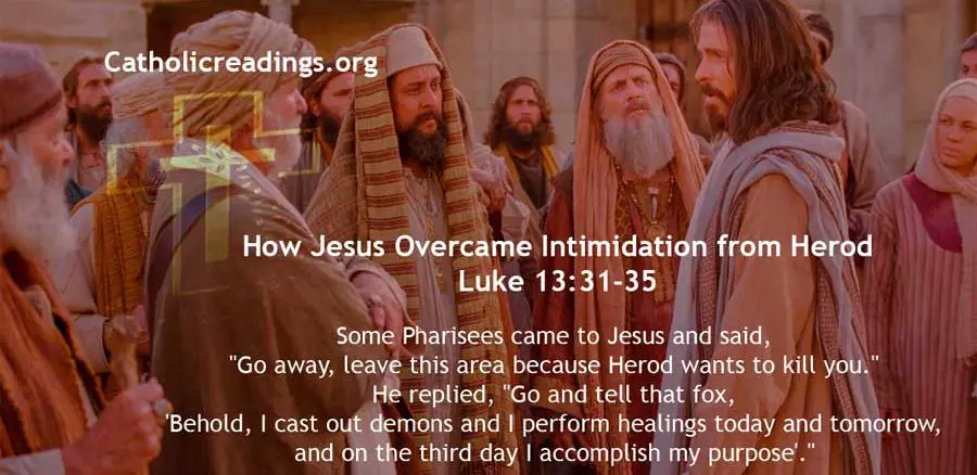 How Jesus Overcame Intimidation from Herod - Luke 13:31-35 - Bible Verse of the Day