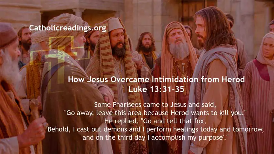 How Jesus Overcame Intimidation from Herod - Luke 13:31-35 - Bible Verse of the Day