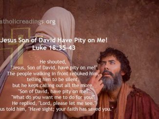 Jesus Heals Blind Bartimaeus, Jesus Son of David Have Pity on Me! - Mark 10:46-52, Luke 18:35-43 - Bible Verse of the Day