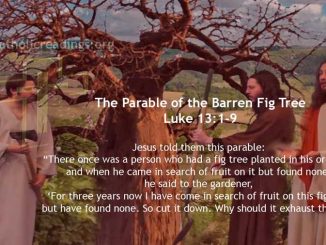 The Parable of the Barren Fig Tree - Luke 13:1-9 - Bible Verse of the Day