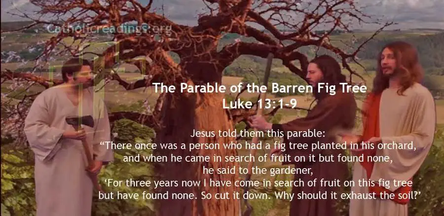 The Parable of the Barren Fig Tree - Luke 13:1-9 - Bible Verse of the Day