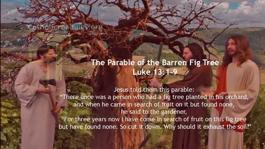 The Parable Of The Barren Fig Tree Luke 13 1 9 Catholic Daily 