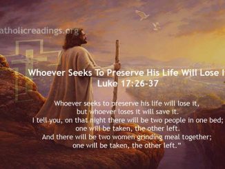 Whoever Seeks To Preserve His Life Will Lose It - Luke 17:26-37 - Bible Verse of the Day