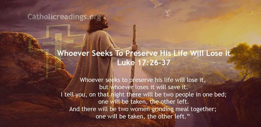 Whoever Seeks To Preserve His Life Will Lose It - Luke 17:26-37 - Bible Verse of the Day