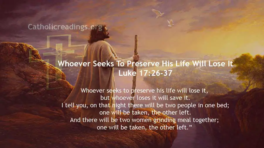 Whoever Seeks To Preserve His Life Will Lose It - Luke 17:26-37 - Bible Verse of the Day