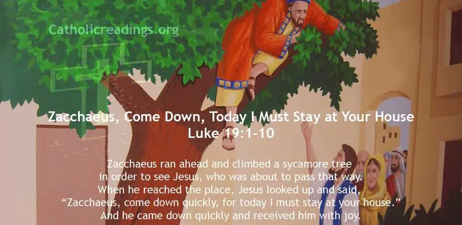 Zacchaeus, Come Down, Today I Must Stay at Your House - Luke 19:1-10 - Bible Verse of the Day