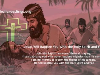 Jesus Will Baptize You With the Holy Spirit and Fire - Matthew 11:2-11, John 1:19-28, Luke 3:10-18 - Bible Verse of the Day