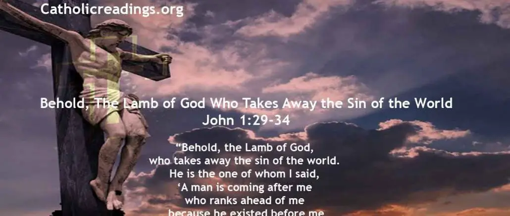 Behold, The Lamb of God Who Takes Away the Sin of the World - John 1:29-34 - Bible Verse of the Day