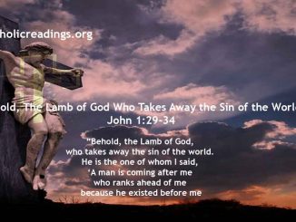Behold, The Lamb of God Who Takes Away the Sin of the World - John 1:29-34 - Bible Verse of the Day