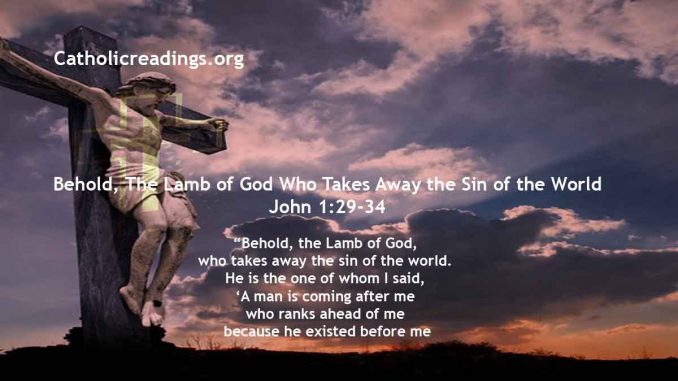 Behold, The Lamb of God Who Takes Away the Sin of the World - John 1:29-34 - Bible Verse of the Day