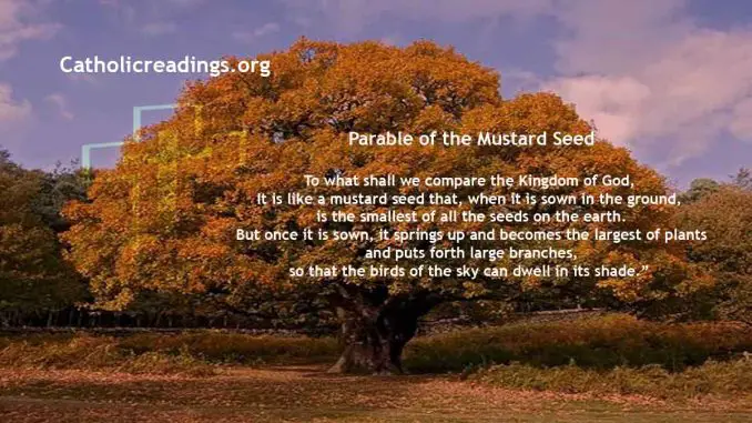 Parable of the Mustard Seed - Mark 4:30-32, Matthew 13:31-35, Luke 13:18-21 - Bible Verse of the Day