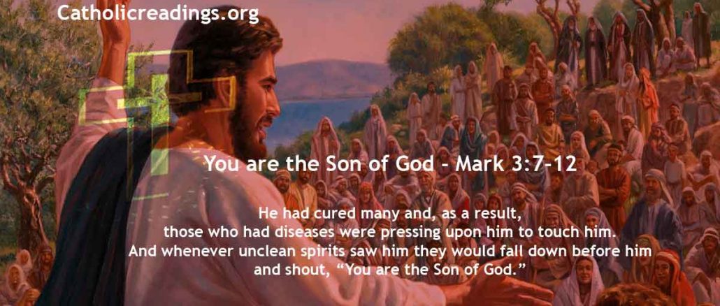 You are the Son of God - Mark 3:7-12 - Bible Verse of the Day