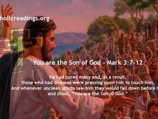 You are the Son of God - Mark 3:7-12 - Bible Verse of the Day