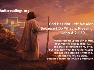 God Has Not Left Me Alone, Because I Do What is Pleasing To Him - John 8:21-30 - Bible Verse of the Day