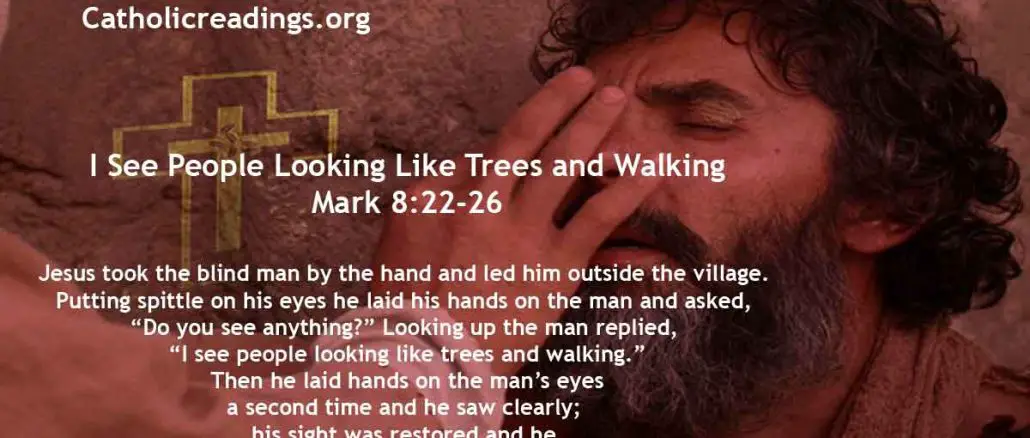 I See People Looking Like Trees and Walking - Mark 8:22-26 - Bible Verse of the Day