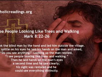 I See People Looking Like Trees and Walking - Mark 8:22-26 - Bible Verse of the Day