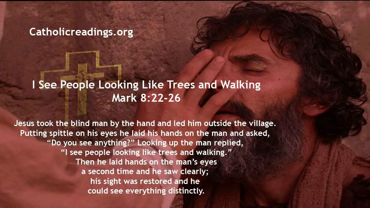 I See People Looking Like Trees And Walking