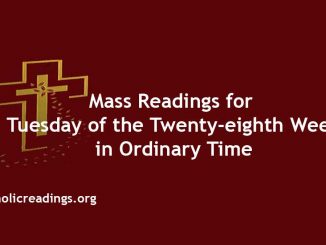 Mass Readings for Tuesday of the Twenty-eighth Week in Ordinary Time