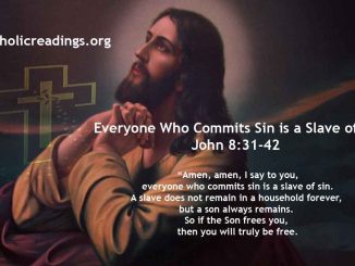 Everyone Who Commits Sin is a Slave of Sin - John 8:31-42 - Bible Verse of the Day